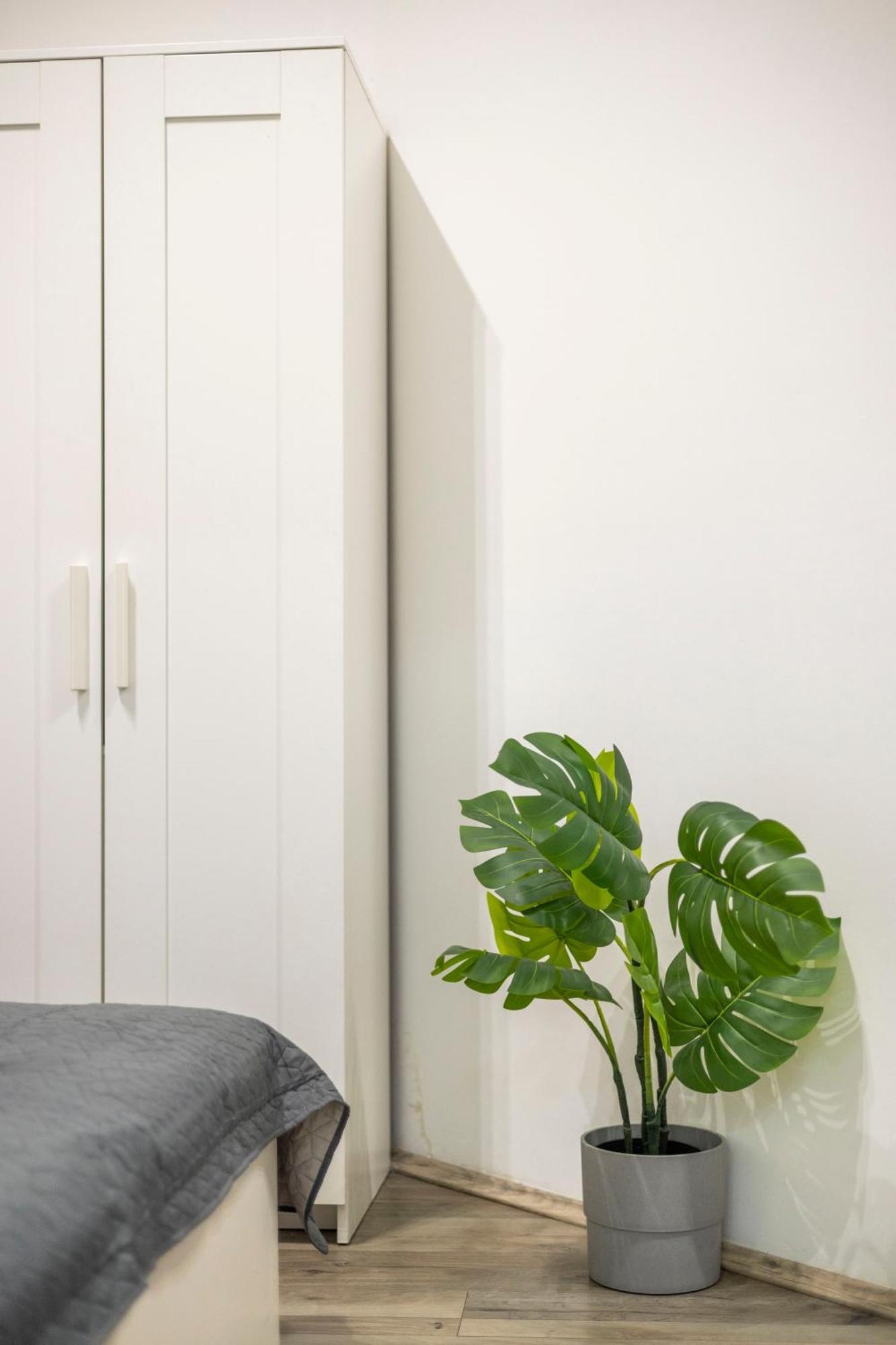 & Cozy Superior Terez Boulevard Budapest