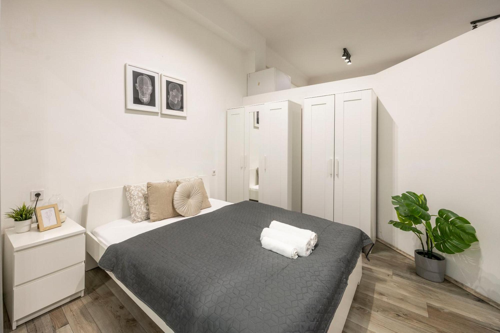 Apartment & Cozy Superior Terez Boulevard Budapest
